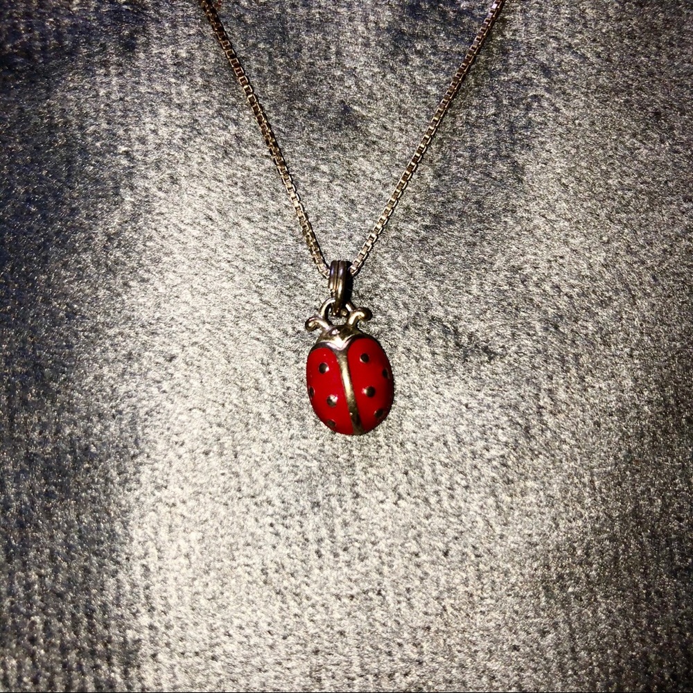 ✨Ladybug necklace